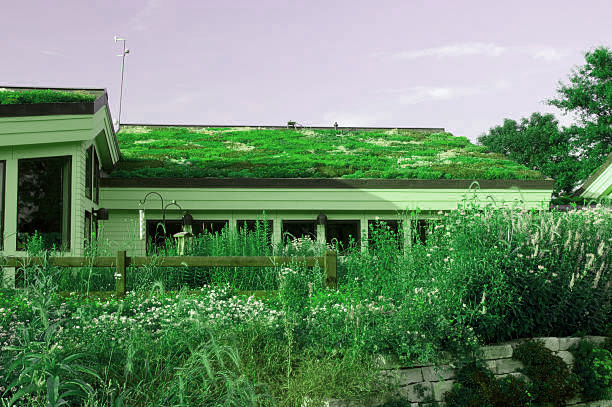 Telhado verde como exemplo de bioarquitetura